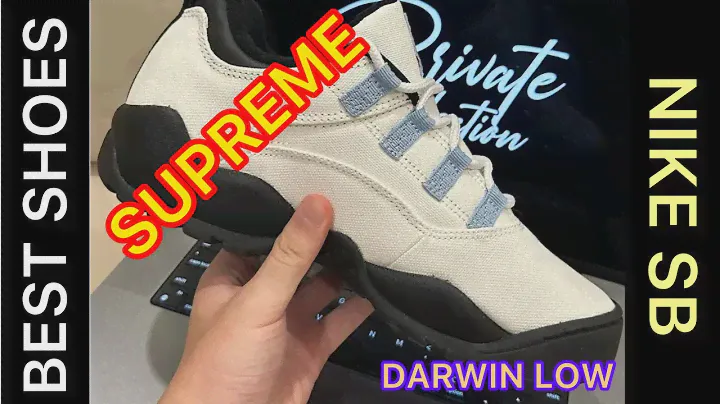SUPREME X NIKE SB DARWIN LOW a skate shoe