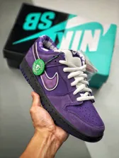 NIKE SB DUNK X CONCEPTS
