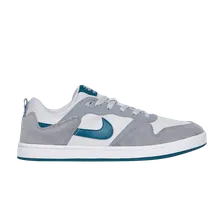 Кроссовки Nike Sb Alleyoop