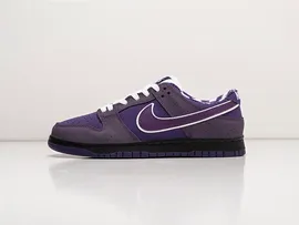 мужские кроссовки Nike x Concepts SB Dunk Low PRO OG QS Purple / Black