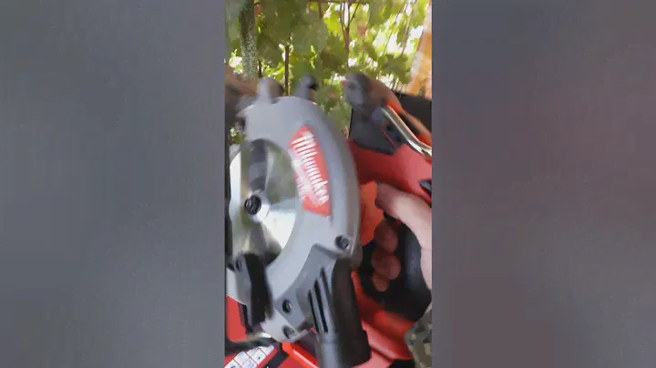 Ручная циркулярная пила Milwaukee M18CCS55. И кошка😉