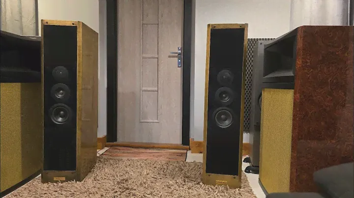 Technics SB-M1000 [ Wilk-Audio-Projekt]