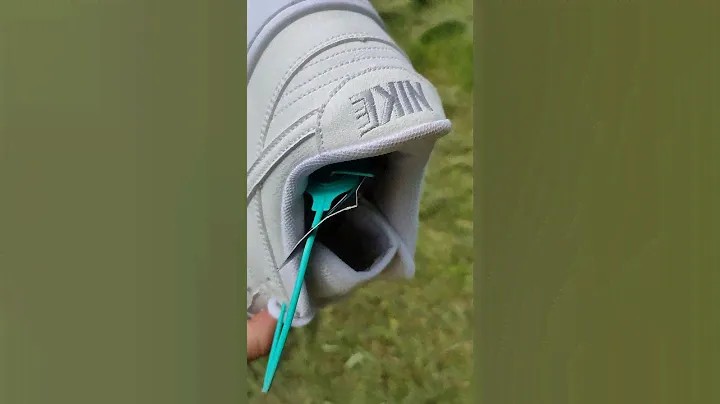 Кроссовки мужские летние Nike SB Low Dunk Pro