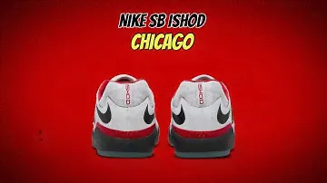 Nike SB Ishod Chicago