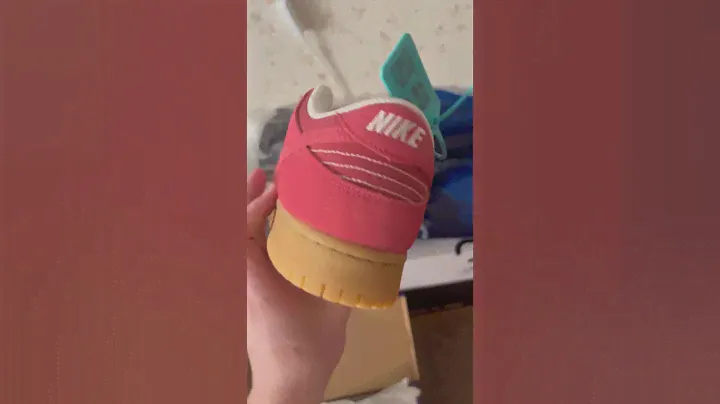 Обзор на бомбические Nike Dunk SB Low Red Gum #poizon #доставка #кроссовки #nike #рекомендации