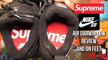 Supreme x Nike SB Air Darwin Low Review| On Feet #supreme #nikesb #onfeet