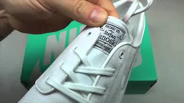 MOVESHOP NIKE SB JANOSKI 615957 110 WHITE CNVS