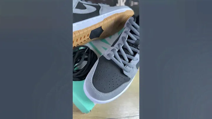 Nike SB dunk gray black
